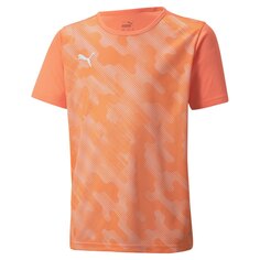 Футболка с коротким рукавом Puma Individual Rise Graphic, оранжевый