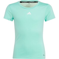 Футболка с коротким рукавом adidas Tf, зеленый