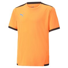 Футболка с коротким рукавом Puma Teamliga, оранжевый