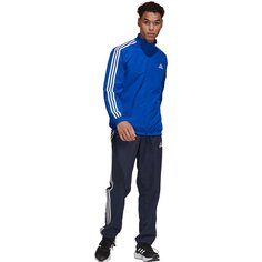 Спортивный костюм adidas Aeroready Essentials Regular Fit 3 Stripes, синий