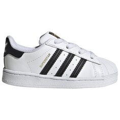 Superstar kids 2025