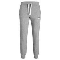 Спортивные брюки Jack &amp; Jones Gordon Sweat, серый