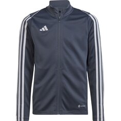 Куртка adidas Tiro23LTr, серый