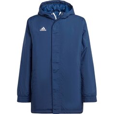 Куртка adidas Ent22 Stadium, синий