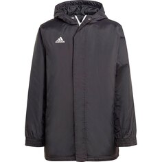 Куртка adidas Ent22 Stadium, черный