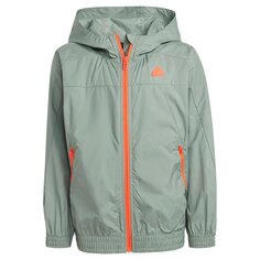 Куртка adidas Ce Q2 Windbreaker, зеленый