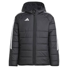 Куртка adidas Tiro24 Winter, серый