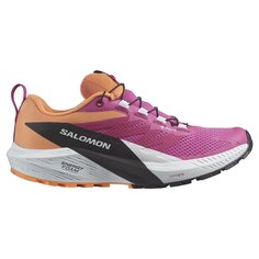 Беговые кроссовки Salomon Sense Ride 5 Goretex Trail, разноцветный