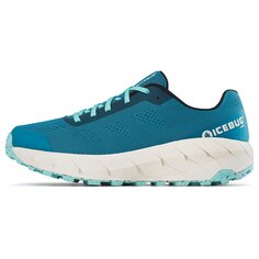 Беговые кроссовки Icebug Arcus RB9X Trail, синий