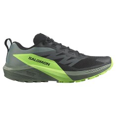 Беговые кроссовки Salomon Sense Ride 5 Trail, черный