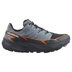 Беговые кроссовки Salomon Thundercross Goretex Trail, серый