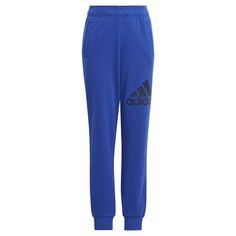 Брюки adidas Essentials Regular Fit Big Logo Cotton Joggers, синий