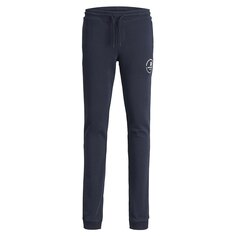 Спортивные брюки Jack &amp; Jones Gordon Swift Sweat, синий