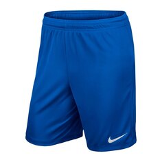 Шорты Nike Dry-Fit Junior, синий