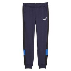 Спортивные брюки Puma Essentials 849083 Sweat, синий