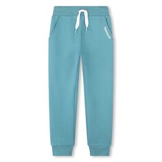 Спортивные брюки Timberland T24C38 Sweat, синий