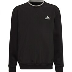 Толстовка adidas All Szn, черный