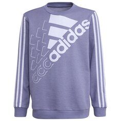 Толстовка adidas Logo, фиолетовый