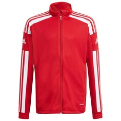 Спортивный костюм adidas Squadra 21, красный