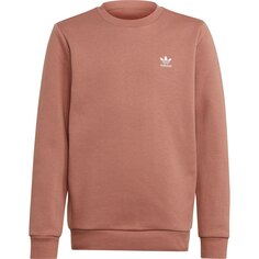 Толстовка adidas Originals Adicolor Crew Junior, оранжевый