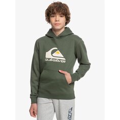 Худи Quiksilver Big Logo Youth, зеленый