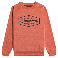 Толстовка Billabong Trademark, красный