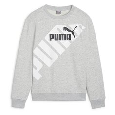 Толстовка Puma Power Graphic B, серый