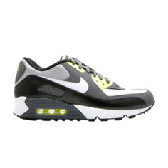 Кроссовки Nike Air Max 90 CL GS, серый