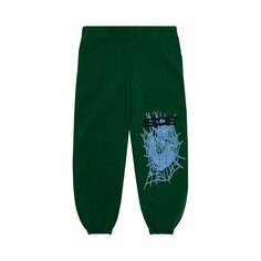 Спортивные брюки Sp5der Web &apos;Hunter Green&apos;, зеленый