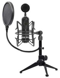 Студийный микрофон Blue Blackout Spark SL+RDTS
