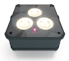 Контроллер освещения APE LABS Maxi 2.0 IP Black Solo