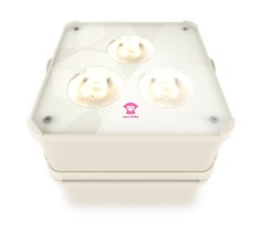 Контроллер освещения APE LABS Maxi 2.0 IP Cream Solo-DJ