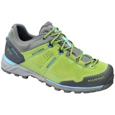 Кроссовки Mammut Alnasca Goretex Low Rise, разноцветный Mammut®