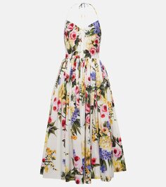 Платье миди из хлопкового поплина с цветочным принтом Dolce&amp;Gabbana, мультиколор