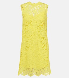 Мини-платье из хлопкового кружева Dolce&amp;Gabbana, желтый