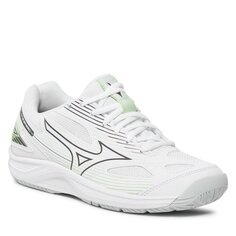 Кроссовки Mizuno CycloneSpeed, белый