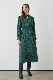 Темно-бирюзовое платье миди с абстрактной присборенной талией Debenhams, зеленый