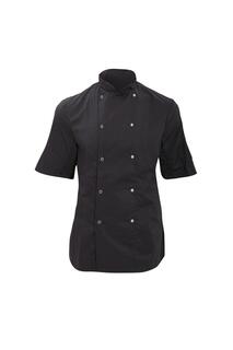 Эконом-куртка Chefs с короткими рукавами Одежда для шеф-повара (2 шт.) Dennys, черный