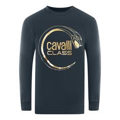 Темно-синий свитшот Piercing Snake Logo Cavalli Class, синий