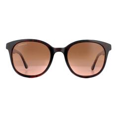Круглые блестящие черепаховые минеральные поляризованные солнцезащитные очки с градиентом для водителей Serengeti, коричневый