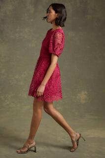 Кружевное платье с пышными рукавами премиум-класса Oasis, розовый