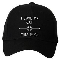Я так сильно люблю свою кошку, черная кепка 60 SECOND MAKEOVER, черный