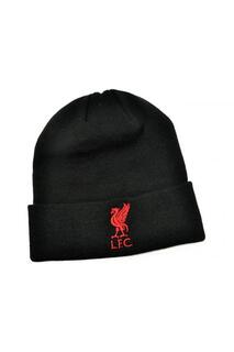 Вязаная шапка-бини Bronx Liver Bird с отвернутыми манжетами Liverpool FC, черный