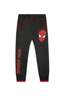 Джоггеры Spiderman с карманами на молнии Marvel, серый