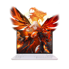 Игровой ноутбук Mechrevo Wing Loong 15 Pro, 15.3&quot;, 16 ГБ/512 ГБ, R7-8845H, RTX 4060, белый, английская клавиатура