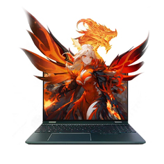 Игровой ноутбук Mechrevo Wing Loong 15 Pro, 15.3&quot;, 32 ГБ/1 ТБ, R7-8845H, RTX 4060, темно-зеленый, английская клавиатура