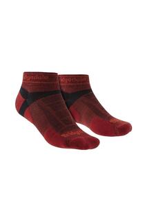 Сверхлегкие спортивные низкие носки T2 из мериносовой шерсти для трейлраннинга Bridgedale, красный