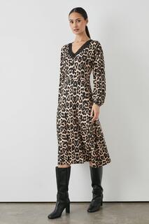 Трикотажное платье с леопардовым принтом и кружевной отделкой Debenhams, мультиколор