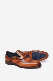 Кожаные туфли-броги премиум-класса &apos;Falcon&apos; Alexander Pace, коричневый