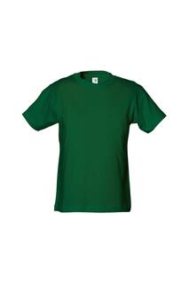 Силовая футболка TEE JAYS, зеленый